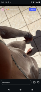 Screenshot_20250314-170400.png Acompanhantes em Junqueirópolis - SP - Acompanhante ð CASAL e PACKS (foto 7) - Acompanhantes virtual